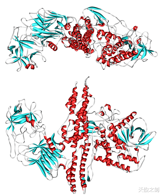 蓖麻毒素|请勿靠近！世界上恐怖的十大毒物，最毒的仅一克就能干掉500亿人
