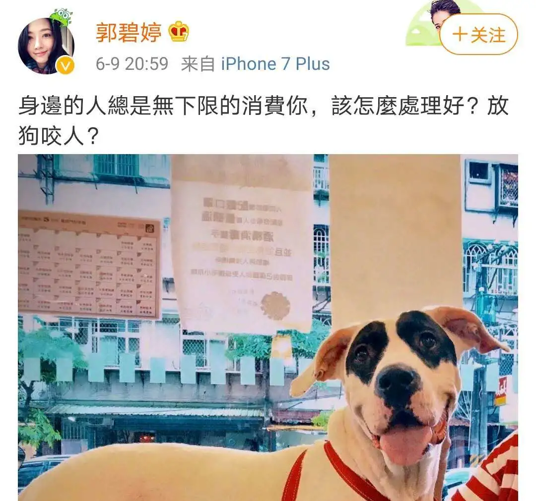 郭碧婷|郭碧婷临产，宝宝沦为向佐的赚钱工具？豪门婚姻也躲不开这个残酷真相