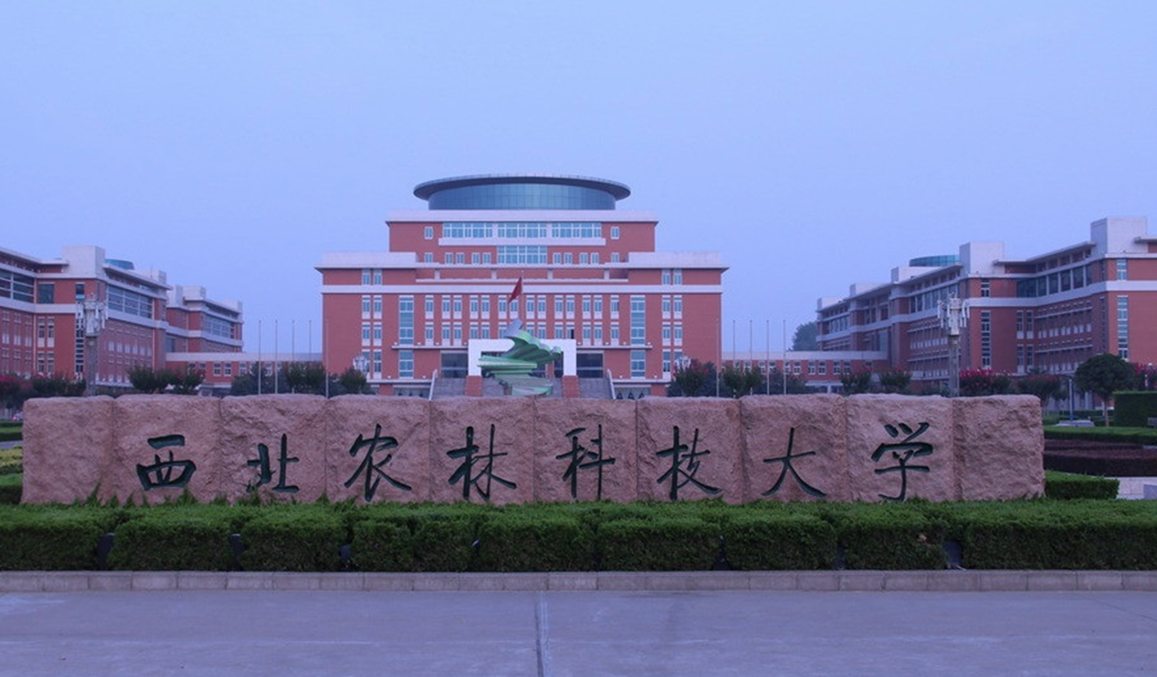 高校|实力名气落后的5所985高校，有人居然说兰大，是对还是错