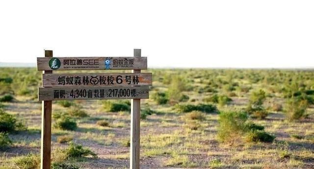 马云|阿里巴巴公布的一张“照片”,让网友备受感动:马云真的没骗人!