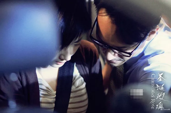 圣诞玫瑰:可怜的受害者或许才是带笑的施害者!《圣诞玫瑰》,小心带刺的诱惑