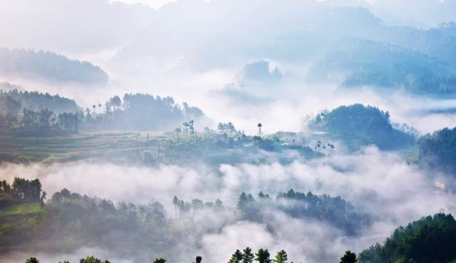 运势▲6月中旬，3大生肖好运势进家门，财运旺盛，喜事连连，轻松得财！