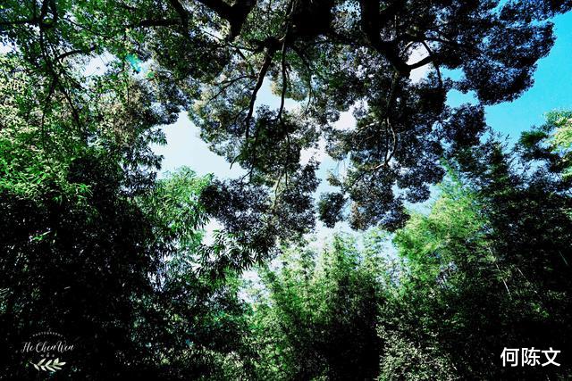 「广东省」广东的一个小山村,风光秀丽,人杰地灵,更是避暑天堂