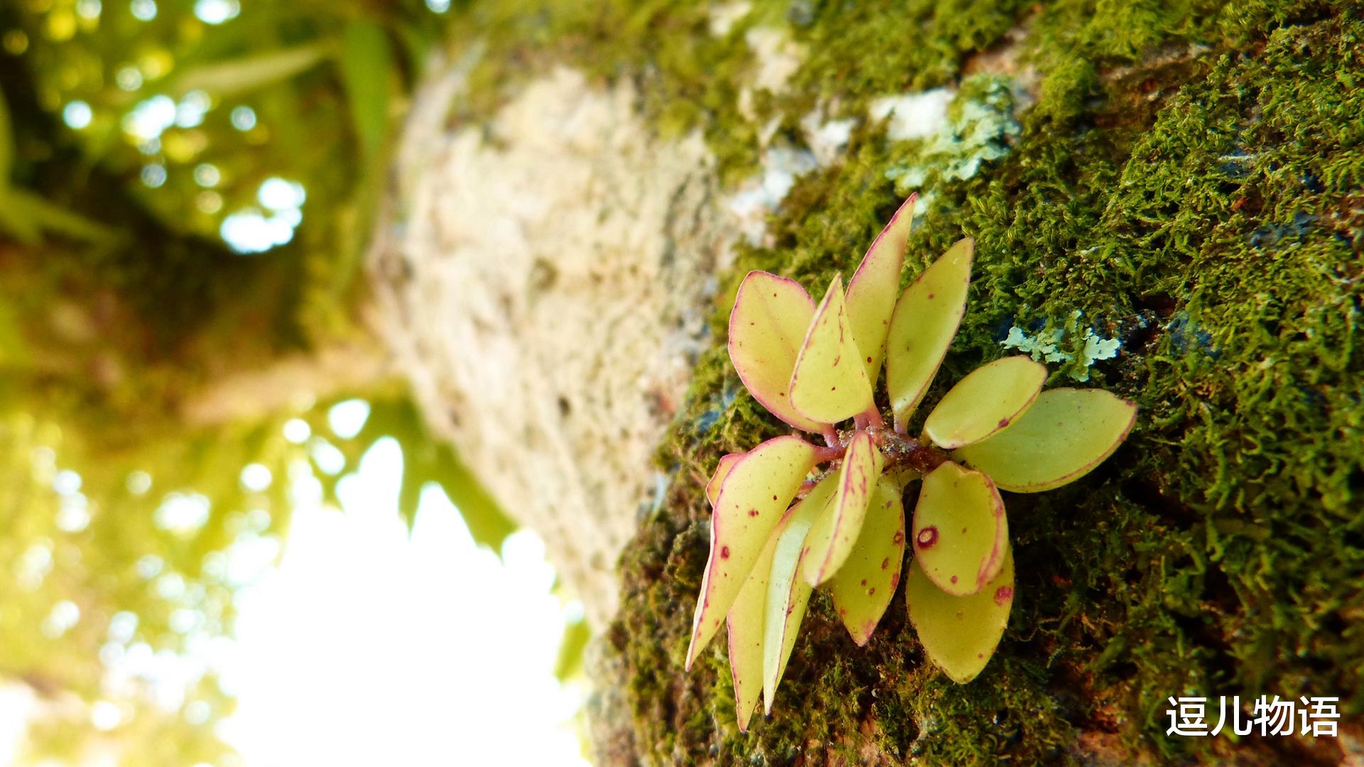 生肖■生肖羊：5月过后，运势差不了，横财降临，时机成熟