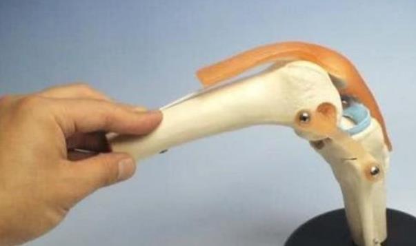 月球■人类进化中被淘汰的器官开始复活，科学家研究后：不是好消息！