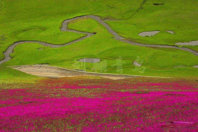 [云南]大多数云南人都不知道，曲靖还藏着这么一个“东方新西兰”！