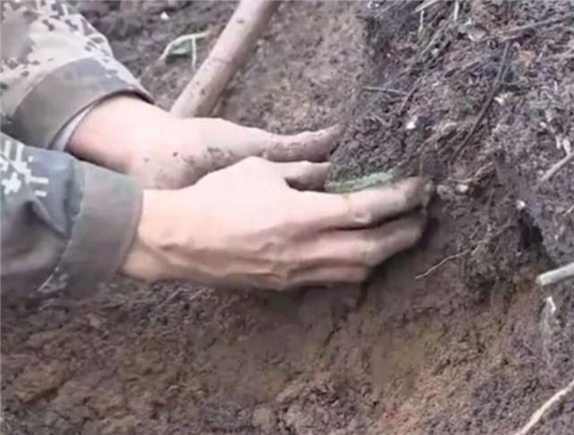 臆说古史|云南老农靠一镰刀锄头,20年排出地雷上万颗,众人:国家亏欠他