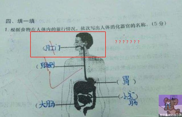 教师■小学生爆笑试卷火了，词语写出“蛋崩菊裂”，老师：请给我解释下