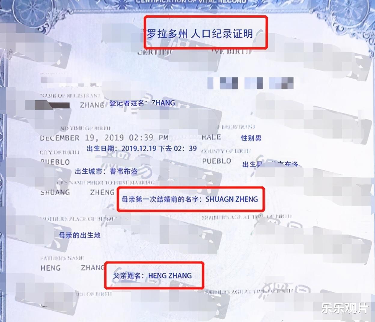 郑爽|实锤了！郑爽代孕两个孩子情况公开，她将要面临退出娱乐圈？