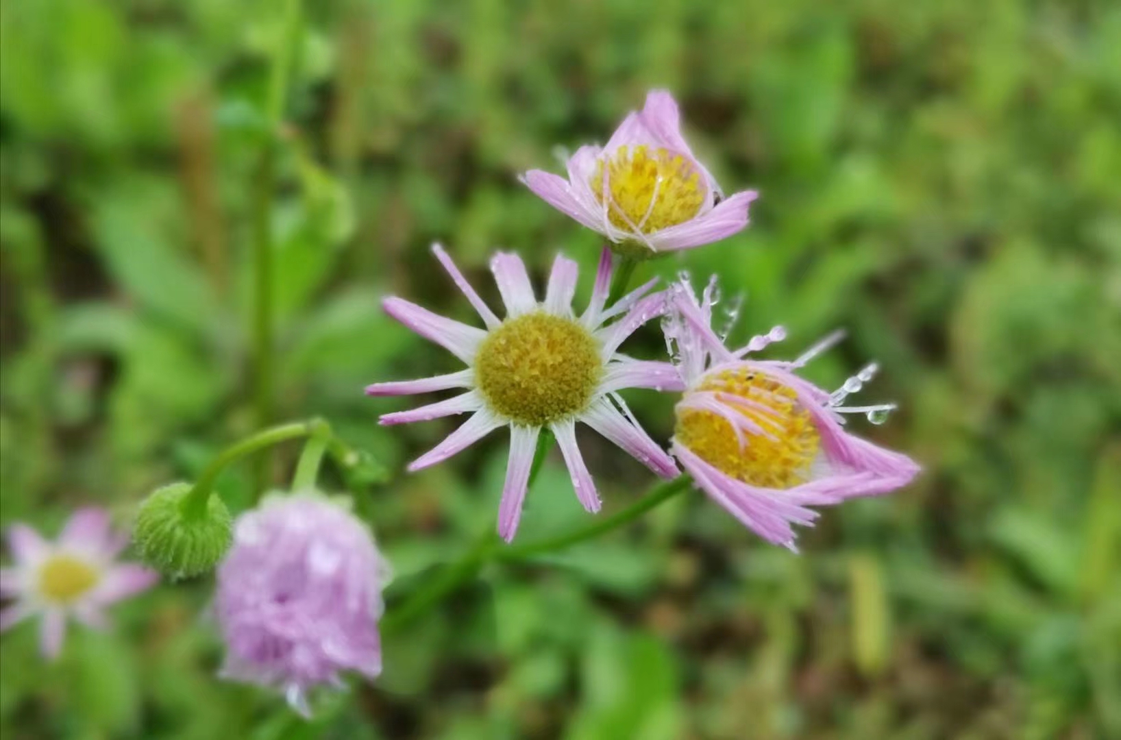 『高考』得了抑郁症的我,仍然坚持着要参加今年的高考,我想聊聊我的经历。