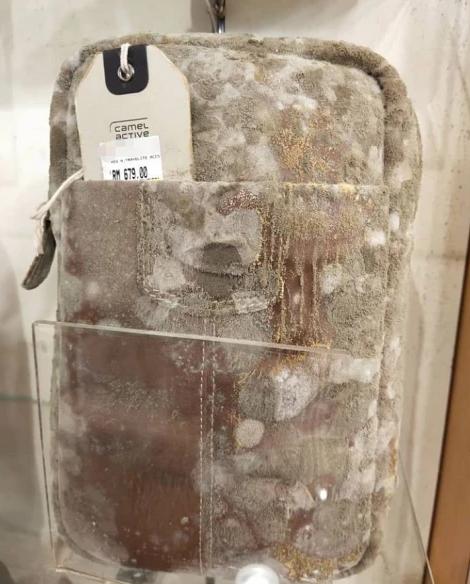 ▲大马商场疫期被迫闭店两个月,再开门时皮具老板哭了:全是霉