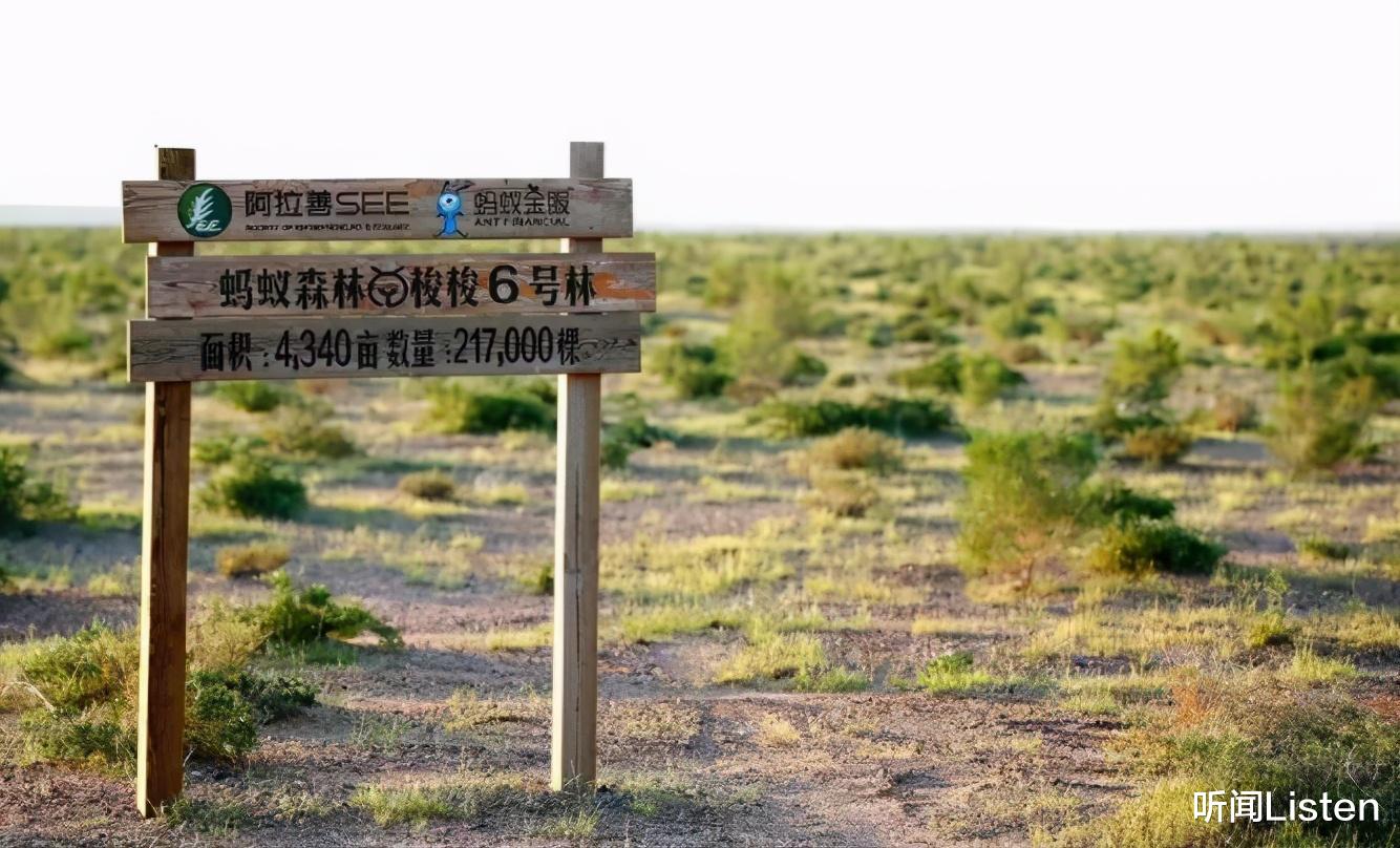 阿里巴巴|阿里巴巴只甩出一张照片，西方就集体闭麦，美媒：中国处处是奇迹