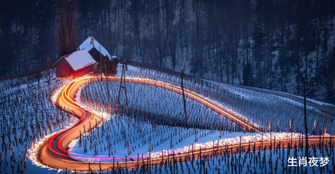 生肖|11月，前世相见，今生重逢，浮生若梦，前任回访，再度甜蜜相爱