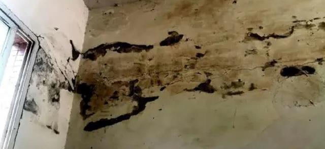 []男子买套房，装修公司一看直接吓跑，开发商：房子没倒，不要找我