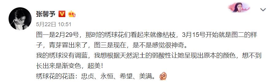 「张馨予」张馨予坦言收视率再高也不要再和热巴合作？给出的理由也太可爱了