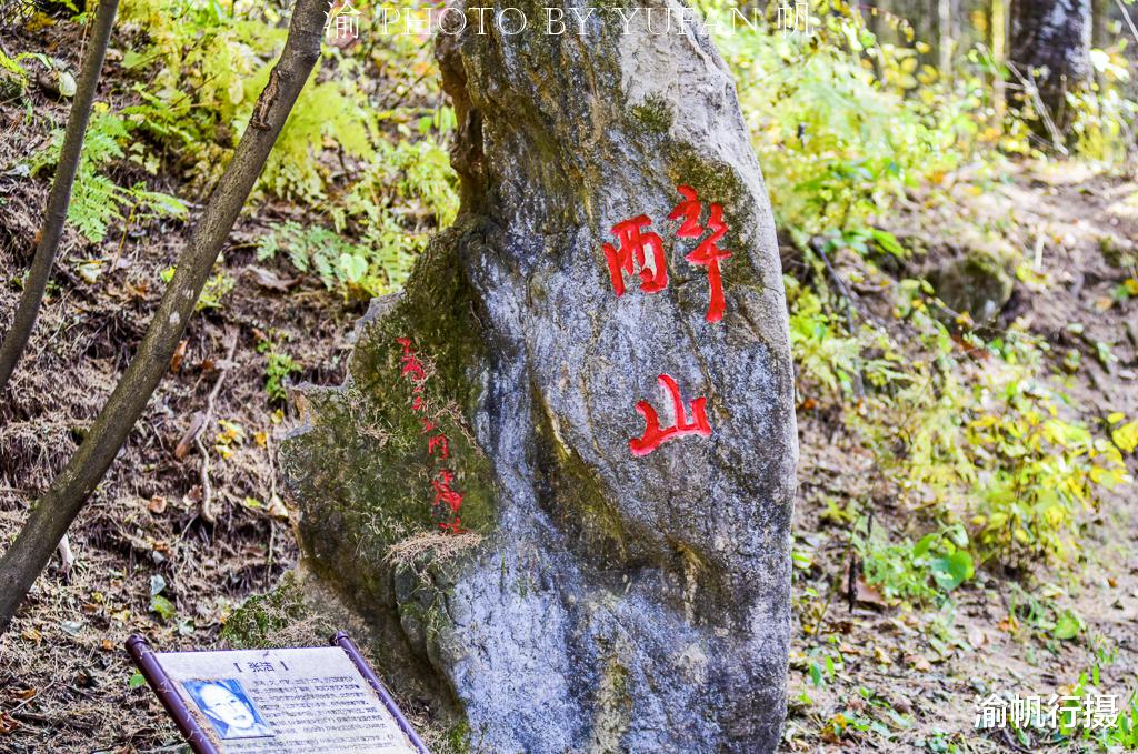 |中原最高峰下有片作家题词林，大伽云集龙飞凤舞，唯方芳的最特别
