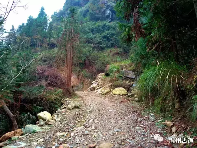 温州@温州铁坑古道，一条横亘于永嘉青田深峡的水瀑古道