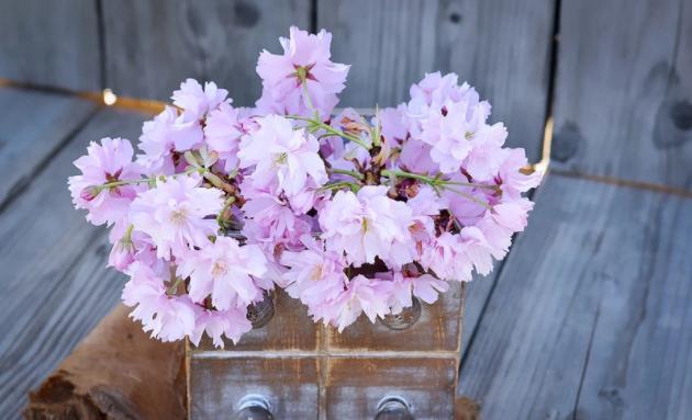 天赐良机|9月，天赐良机，好运难得，4生肖受到幸运星庇佑，财源滚滚来