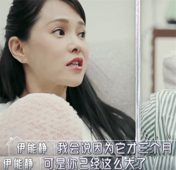 伊能静|伊能静秦昊吵架忘记关麦,节目组故意放出夫妻间对话!内容令人窒息