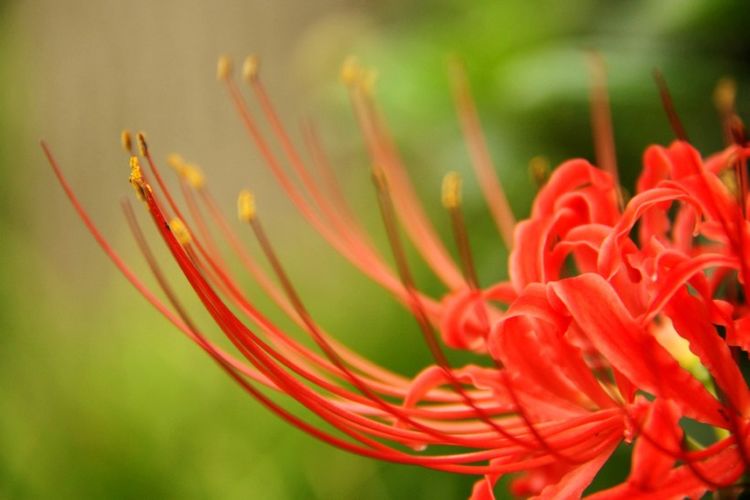双子座|下周开始，桃花闪现，真爱降临，姻缘大好，喜事不断的4大星座