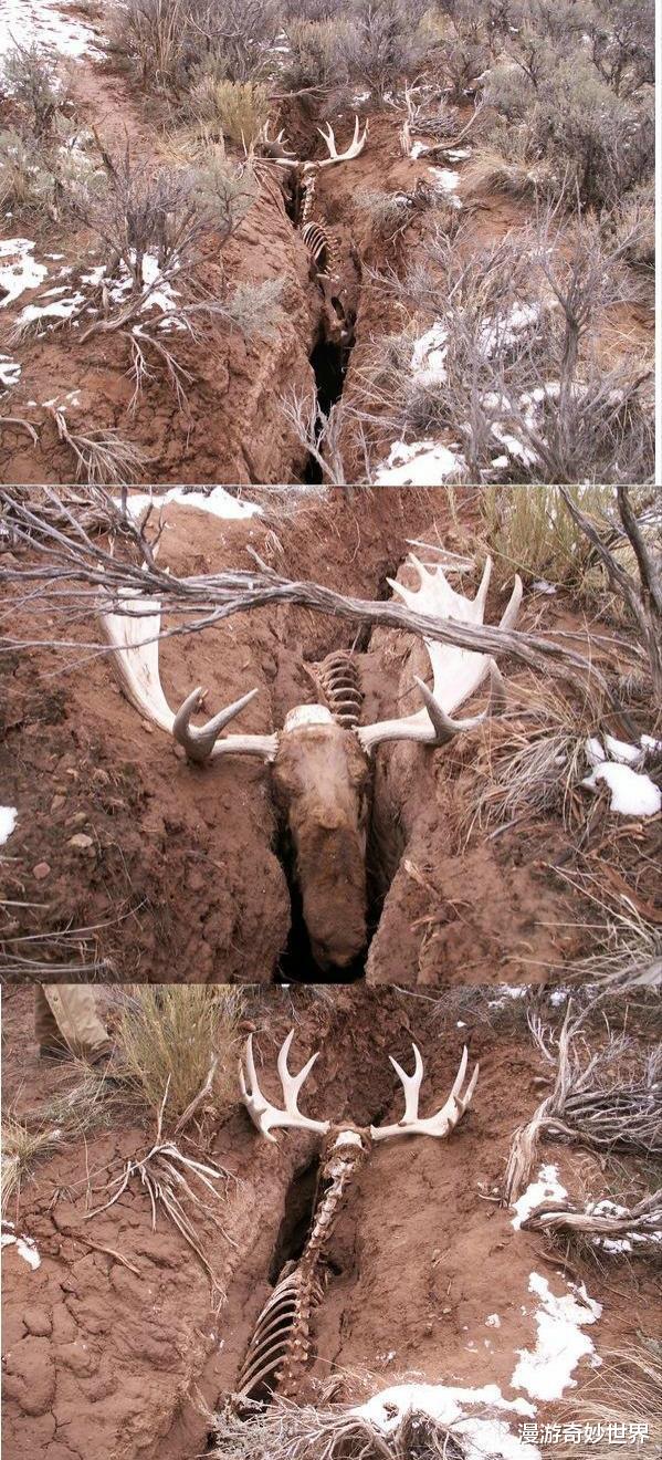「」大自然可怕的一面，看得身体发凉！