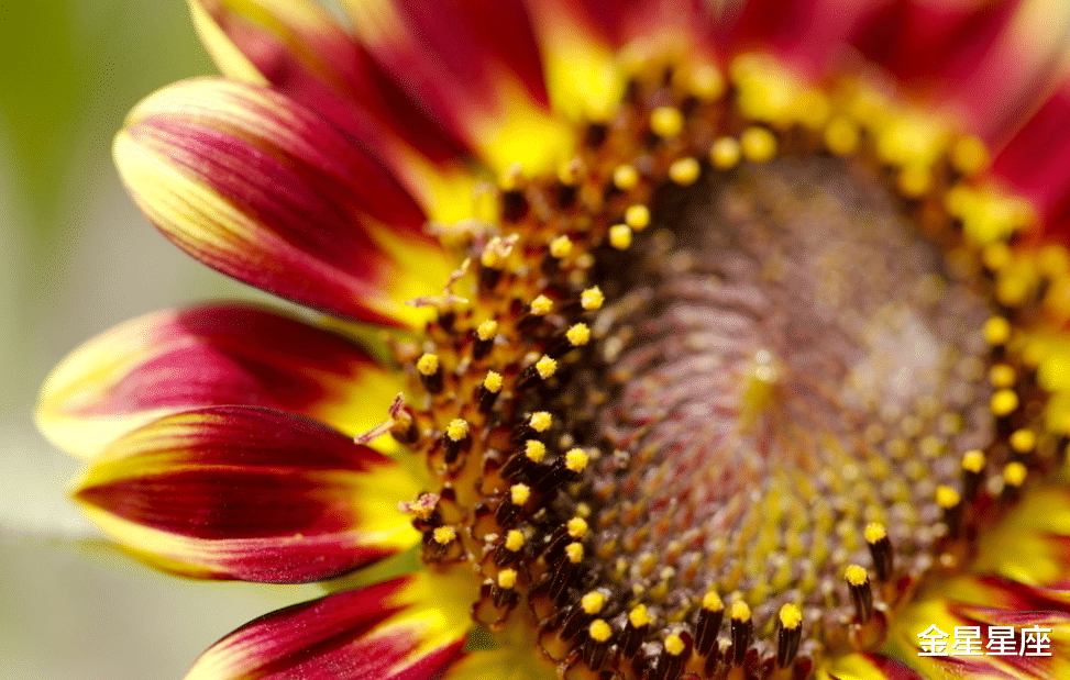 『生肖』6月22号运势高升，财神点名收入暴涨，喜事临门的3大生肖