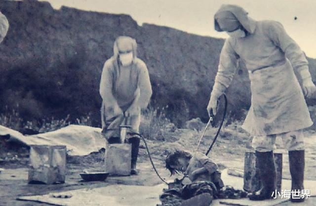 日军|别被抗日神剧忽悠了，这才是鬼子的真实模样，图9日军身高不足一米四