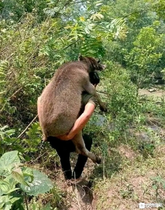 |钓鱼吧是我最后的精神乐园