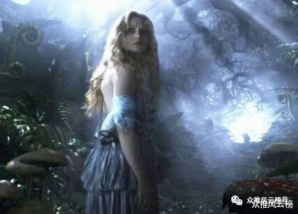 鹦鹉|34个全球至今无法解释之谜