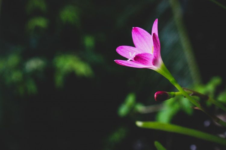 生肖|9月28号开始，迎接财富，好运不断，变得越来越幸福的四大生肖！