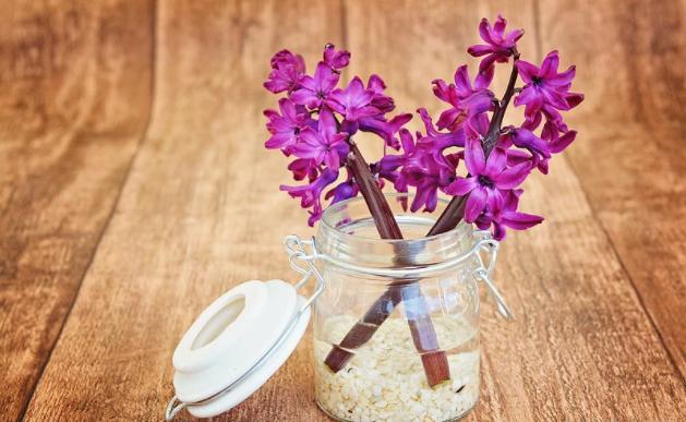 运势|9月，职场得意，连连高升，生财有道，迎接富贵荣华的4大生肖