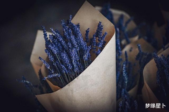 生肖：最注重内在底蕴与涵养的4个星座！