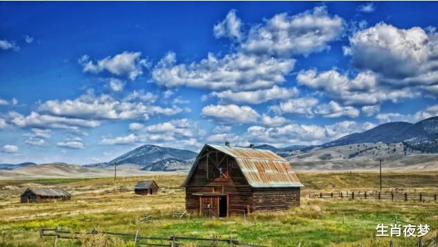 生肖|十月金秋，微风和煦，3生肖爱在当下，回头不难，此生为旧爱沉沦