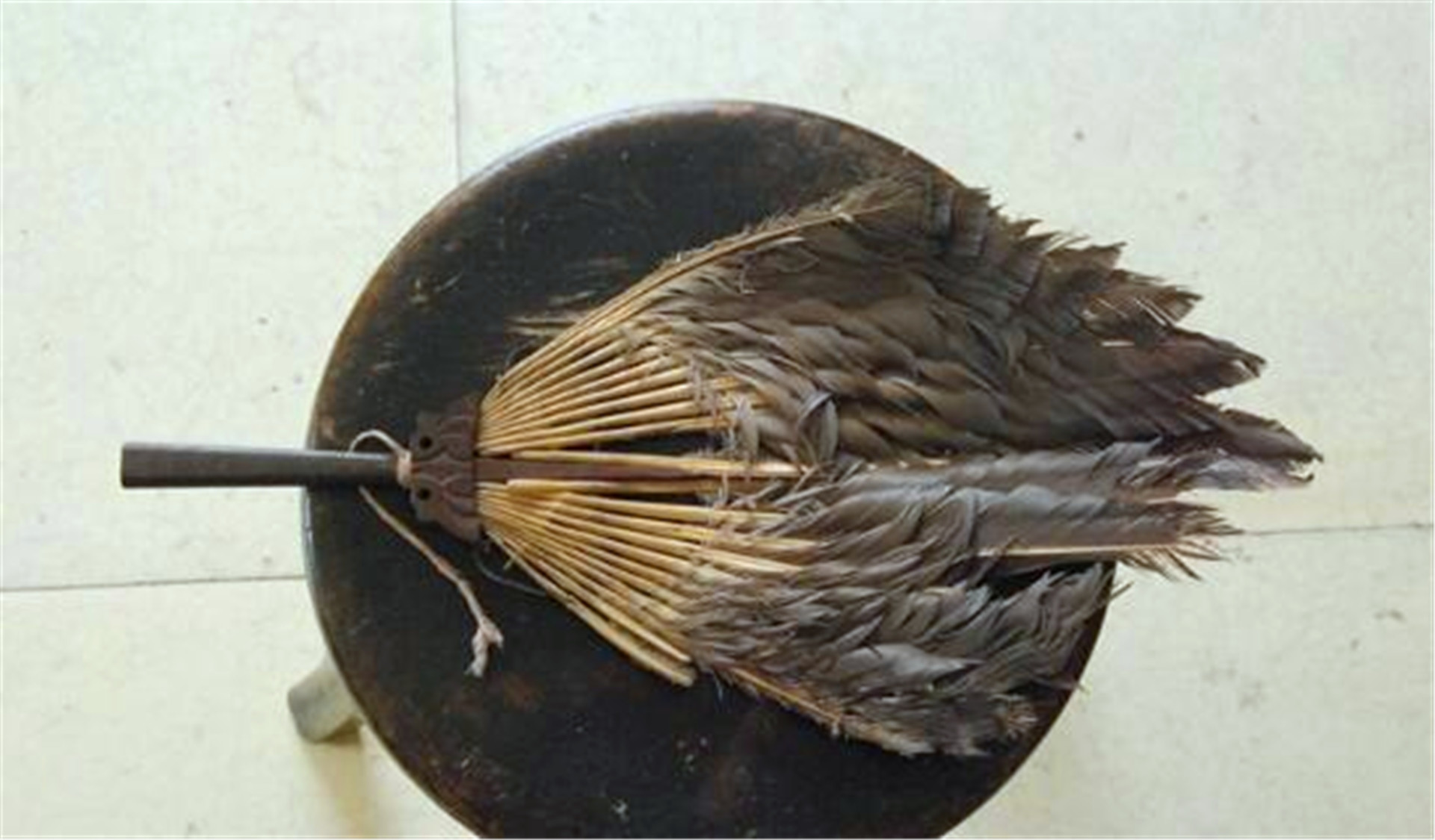 诸葛亮|诸葛亮的墓穴诸葛亮之墓被发现？看到墓中之物，专家直呼：不可思议