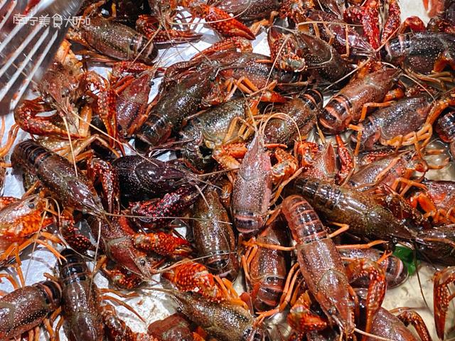 小龙虾▲小龙虾头里的“黄”你还在吃吗？很多人搞不清楚，以后别再乱吃了