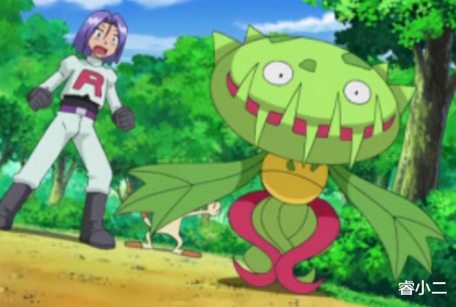 精灵宝可梦|《宝可梦》为何纯草系不受玩家待见？这几只精灵作出解释！
