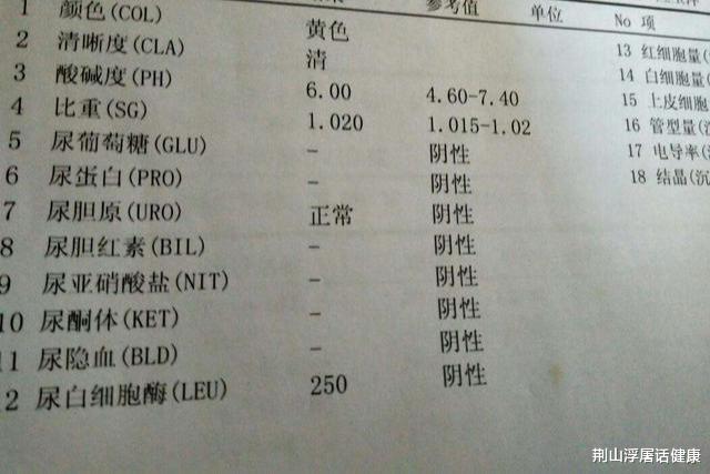 蛋白尿|排尿有泡沫咋回事?泡沫预示有肾脏疾病吗?医生告诉你检查注意
