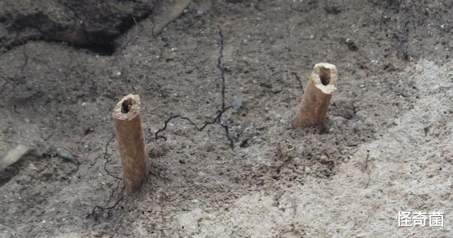 科学家|地球文明在重复轮回？青海白公山，发现15万年前“铁管”