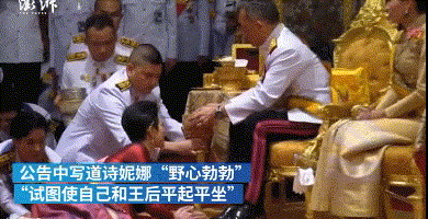 诗妮娜|她这是在演偶像剧吗？