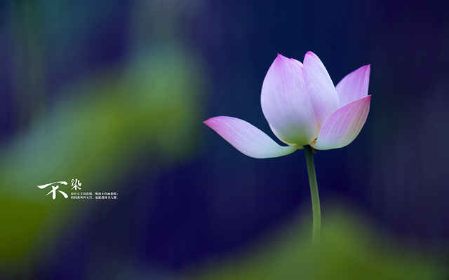 [狮子]4月26.27.28号，财神关照，横财遍地，东山再起的属相