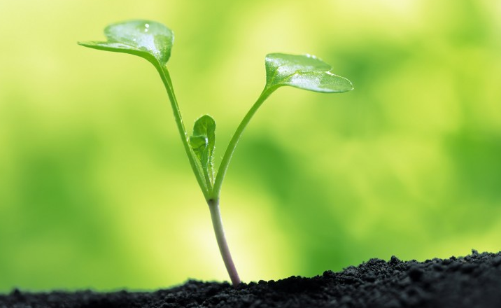 『运势』恭喜！未来一周，运势通顺，横财当头，想不发都难的属相