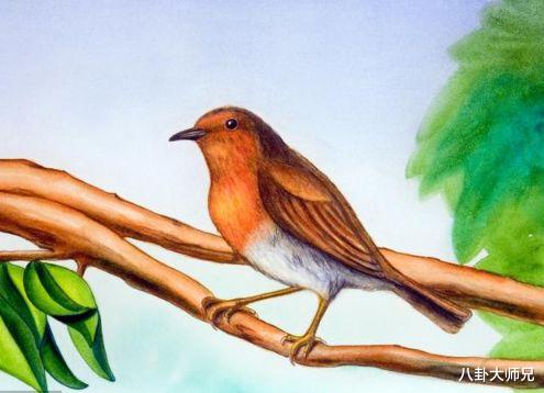 『』心理测试：4只报喜鸟，你选哪只？测你4月份有多幸运！真准