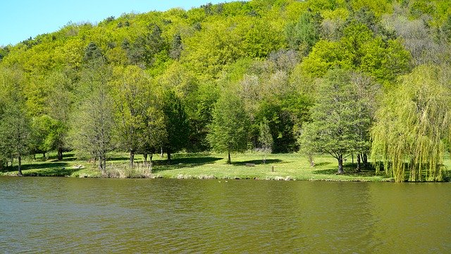 『』童趣十足的一首诗，读后令人欢快，想去河边钓鱼