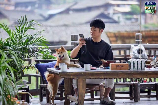 『向往的生活』细说《向往的生活》第四季的“三宗罪”