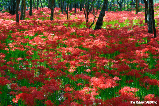 「吉星」下周鸿运当头，4属相吉星庇佑，财运大好，发财路上大红大紫