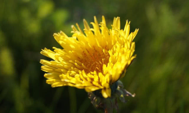 『生肖』6月想不发财都难，事业风生水起，财运大涨，容易大富大贵的生肖