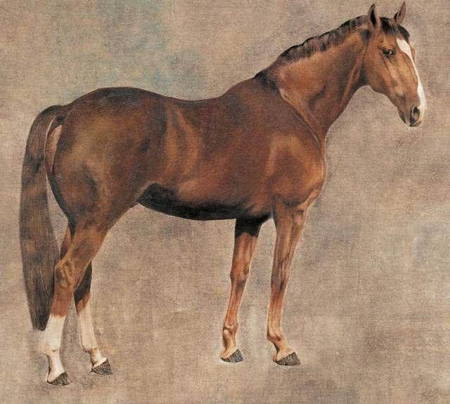 运势■大器晚成的4生肖，发财急不得，今年努力明年当富人