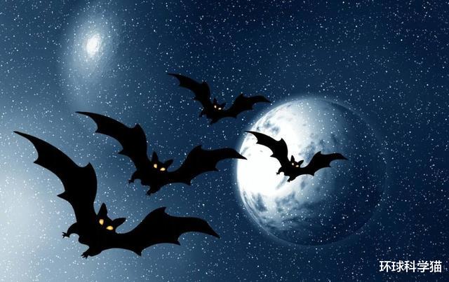 『武汉华南海鲜批发市场』新冠病毒起源在什么地方？新结论：不一定都出于华南海鲜市场