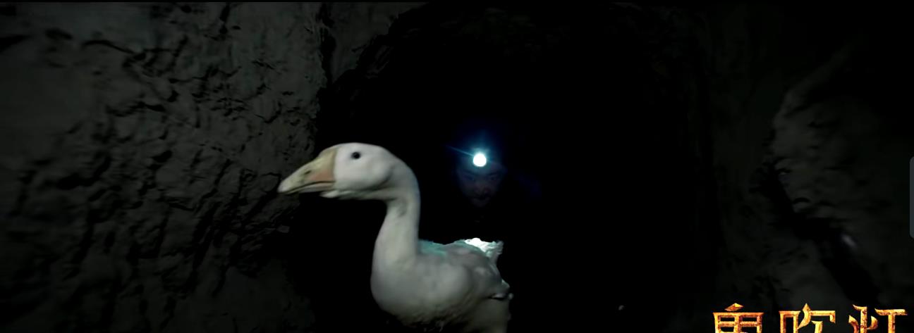 #鬼吹灯之寻龙诀#《云南虫谷》还要等一年？没关系，又一部鬼吹灯即将上映