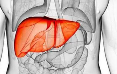 肝脏|身体出现这9种表现，说明你的肝功能可能有问题，不要大意了！